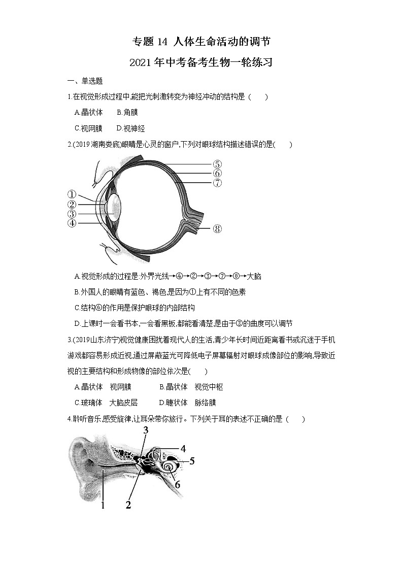 初中生物中考复习 专题14 人体生命活动的调节（练习）（原卷版）01