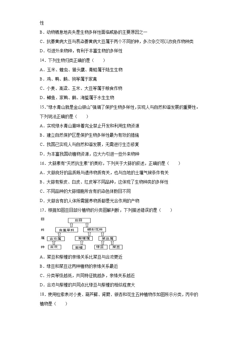 初中生物中考复习 专题14 生物的多样性及其保护（原卷版）第3页