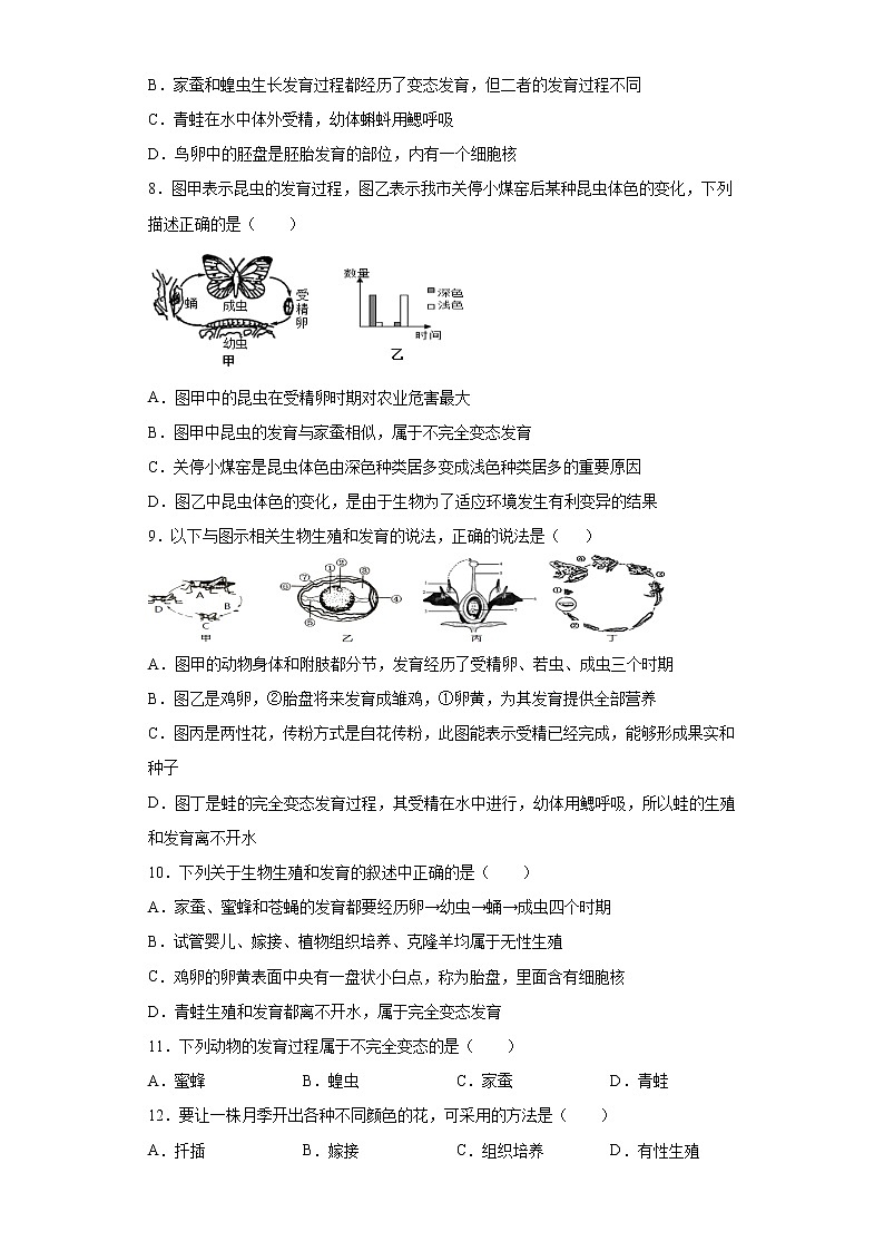 初中生物中考复习 专题15 生物的生殖和发育（原卷版）第2页