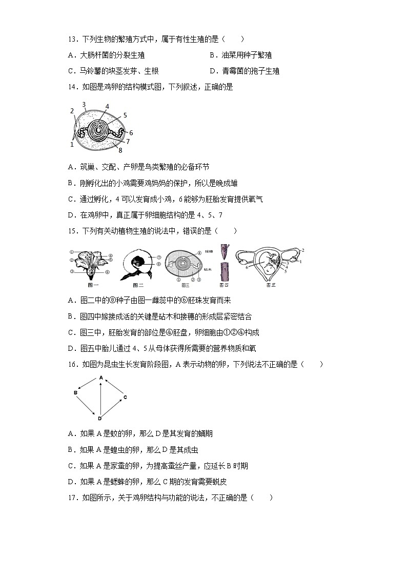 初中生物中考复习 专题15 生物的生殖和发育（原卷版）第3页