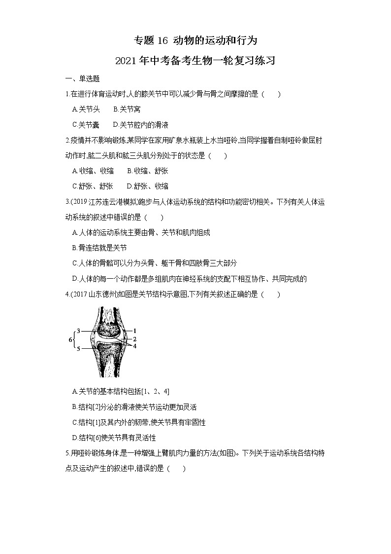 初中生物中考复习 专题16 动物的运动和行为（练习）（原卷版）01