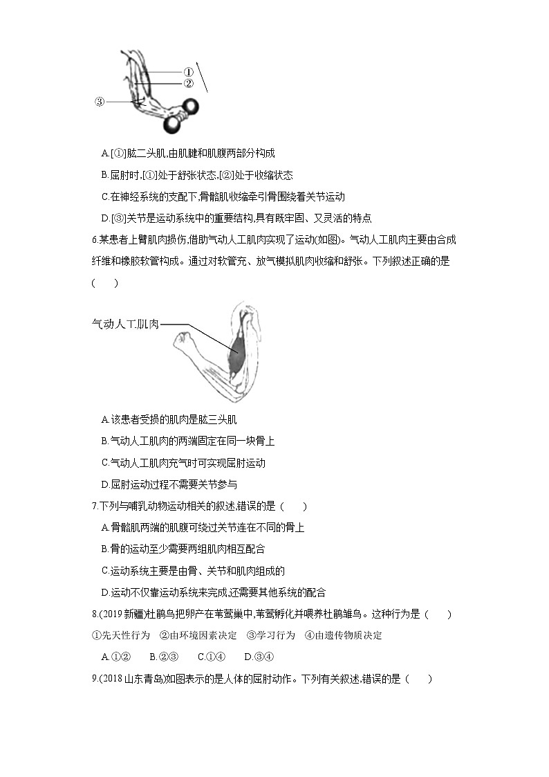 初中生物中考复习 专题16 动物的运动和行为（练习）（原卷版）02