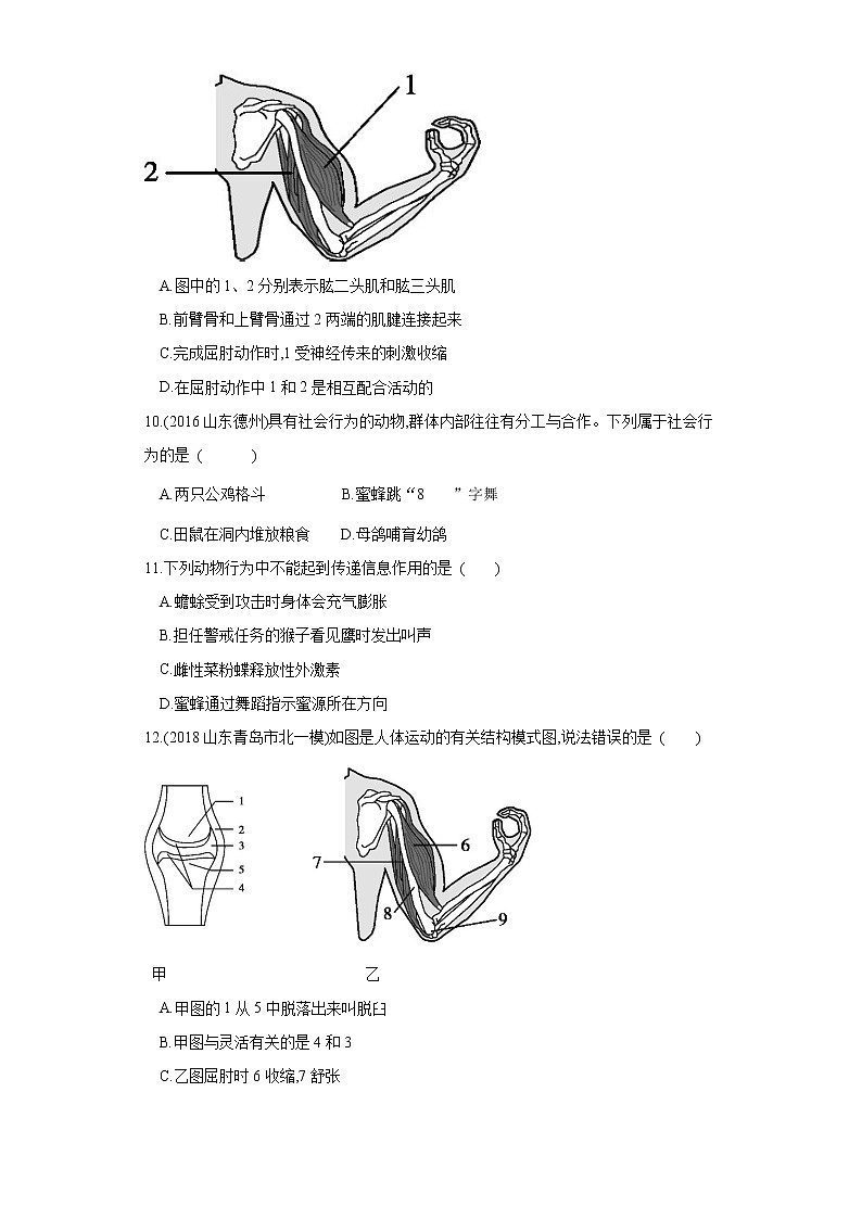 初中生物中考复习 专题16 动物的运动和行为（练习）（原卷版）03