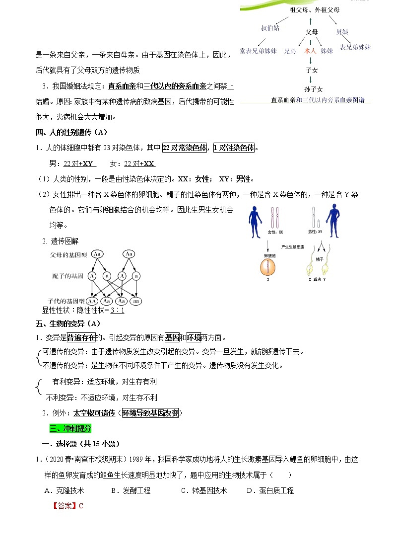 初中生物中考复习 专题16 生物的遗传和变异（解析版）第3页