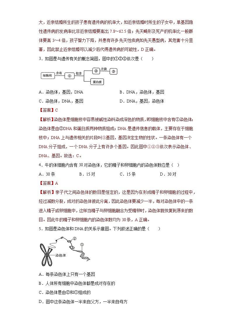 初中生物中考复习 专题16 生物的遗传与变异（解析版）第2页