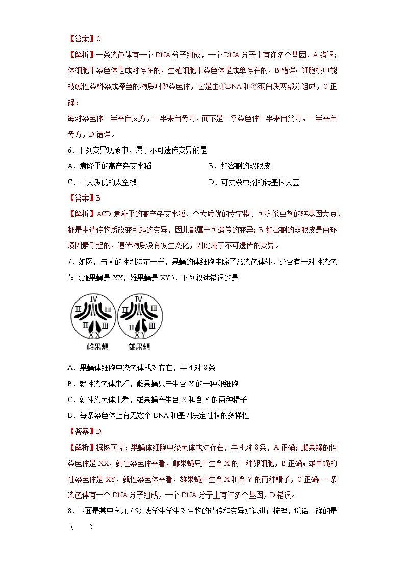 初中生物中考复习 专题16 生物的遗传与变异（解析版）第3页