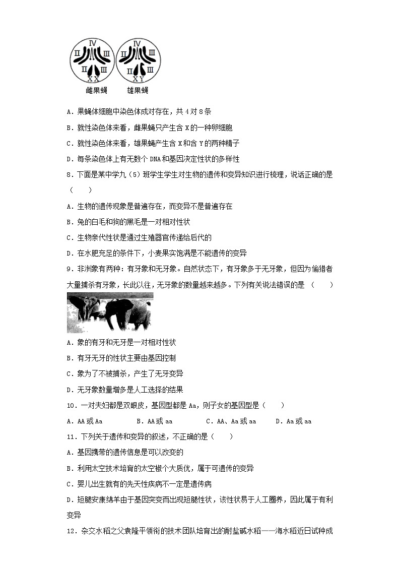 初中生物中考复习 专题16 生物的遗传与变异（原卷版）第2页