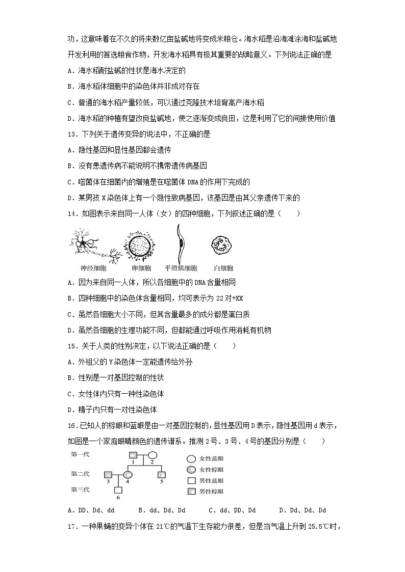 初中生物中考复习 专题16 生物的遗传与变异（原卷版）第3页