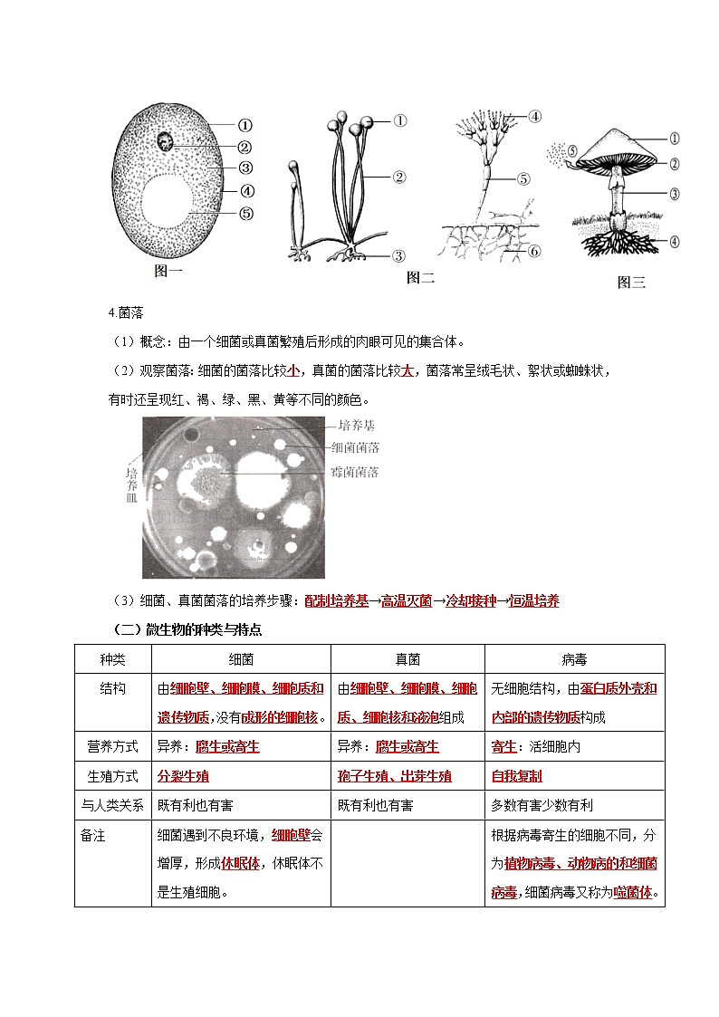 初中生物中考复习 专题16 生物圈中的微生物（解析版）第2页