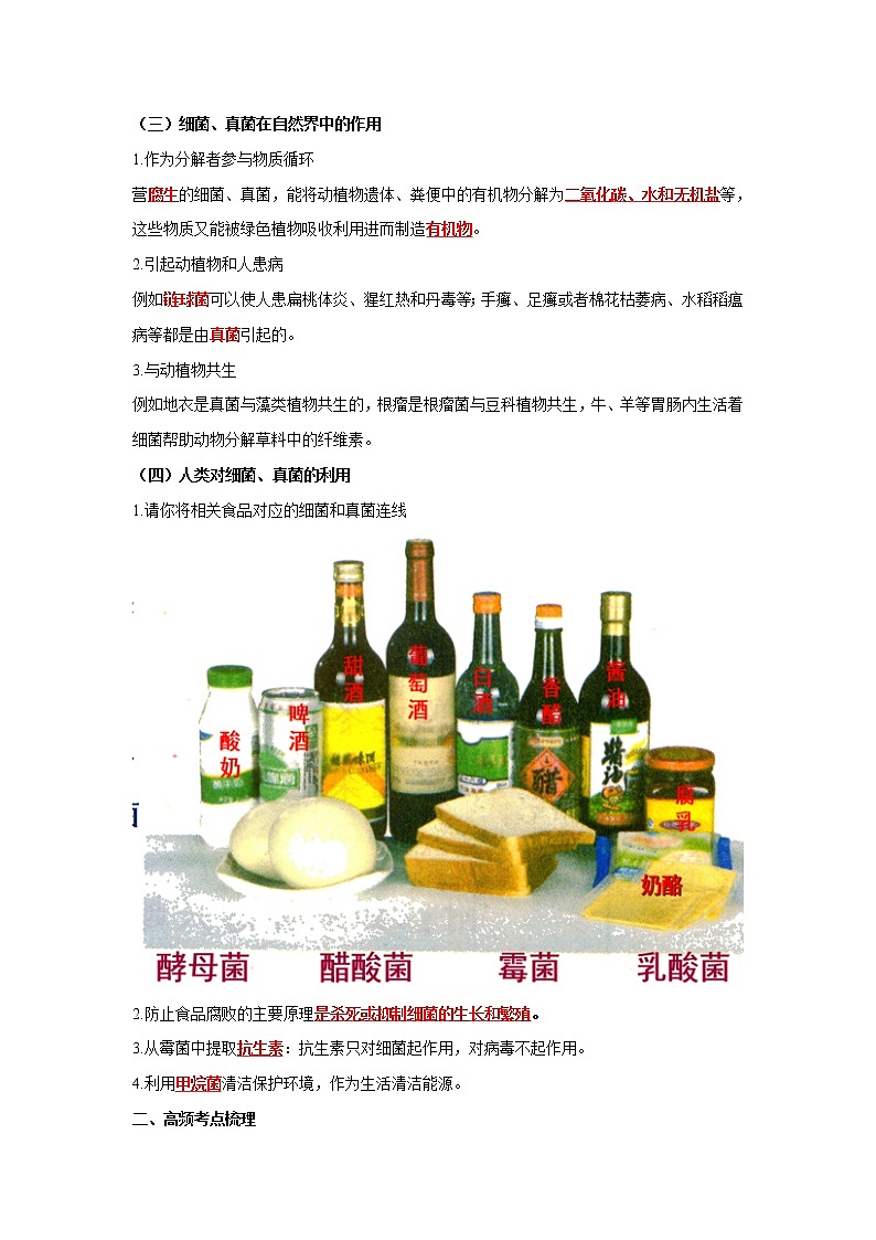 初中生物中考复习 专题16 生物圈中的微生物（解析版）第3页