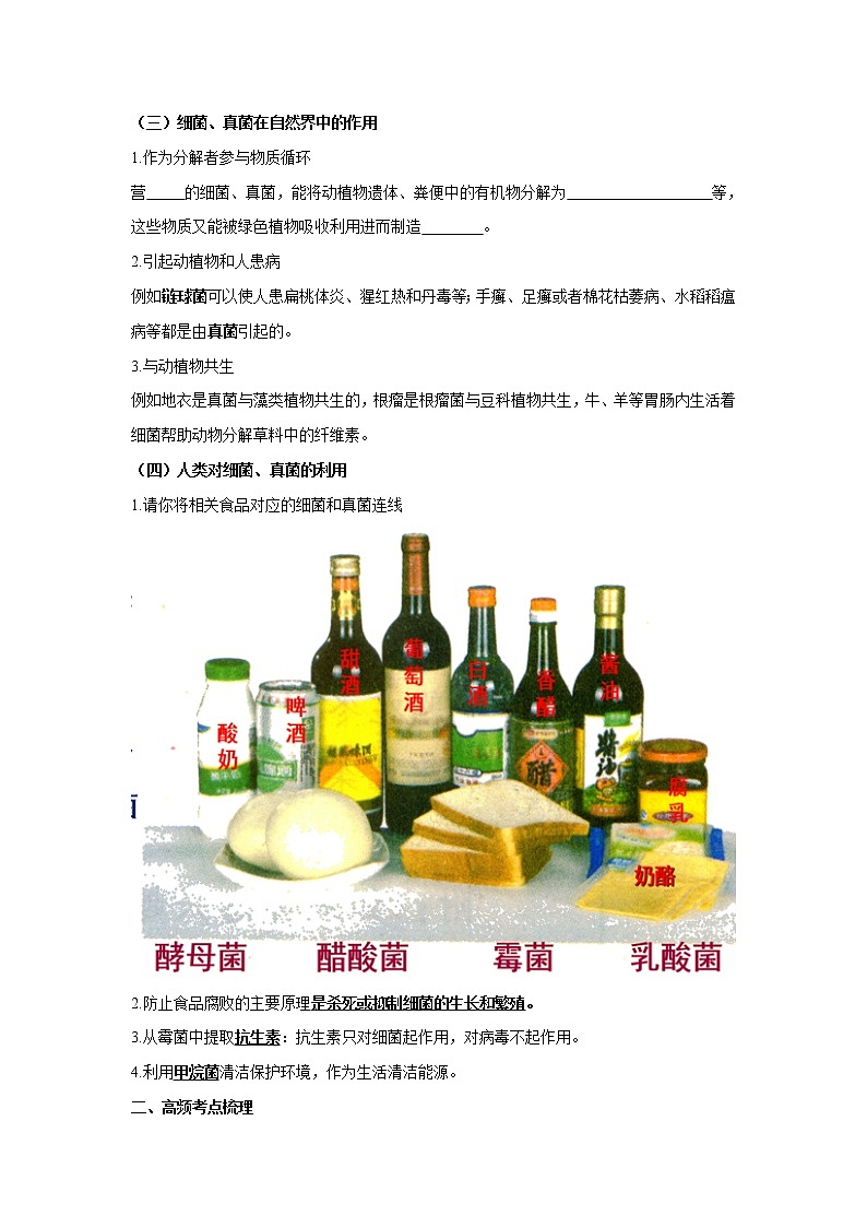 初中生物中考复习 专题16 生物圈中的微生物（原卷版）第3页