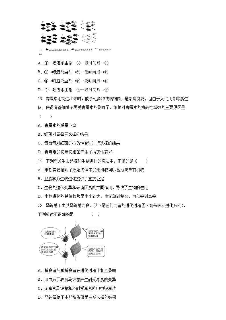 初中生物中考复习 专题17 生命起源和生物进化（原卷版）第3页