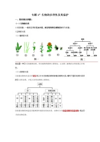 初中生物中考复习 专题17 生物的多样性及其保护（解析版）