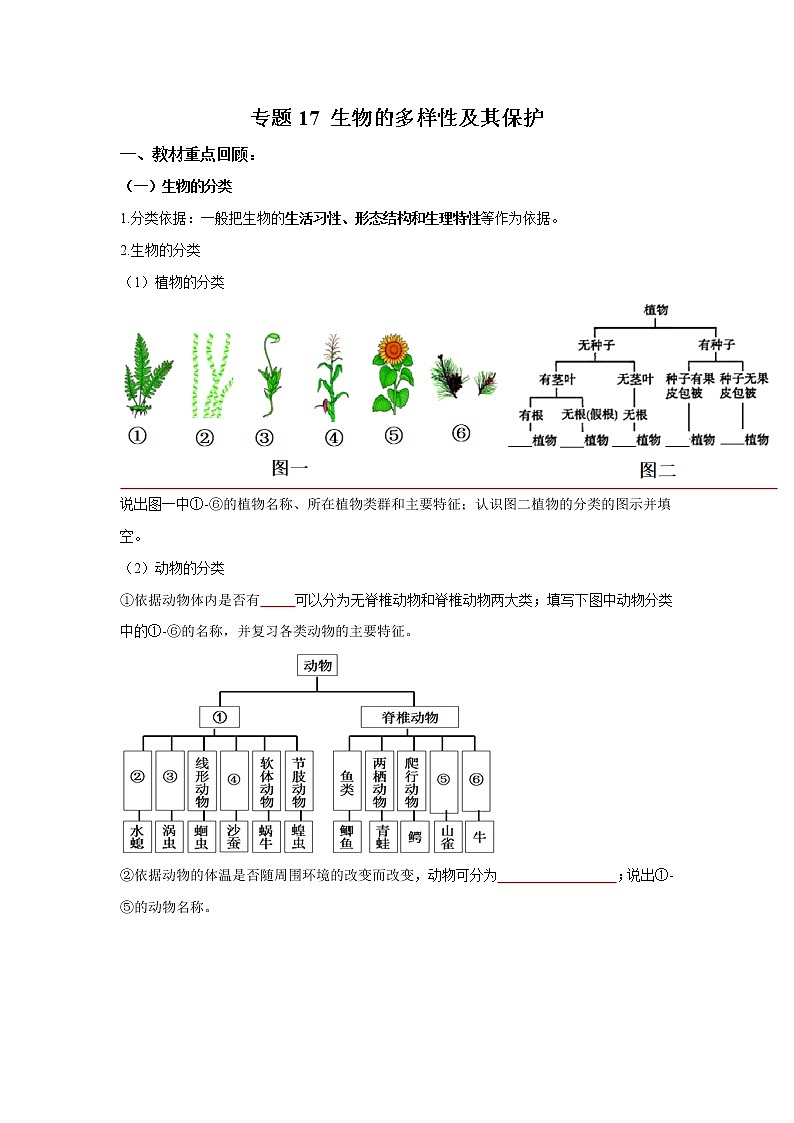 初中生物中考复习 专题17 生物的多样性及其保护（原卷版）第1页