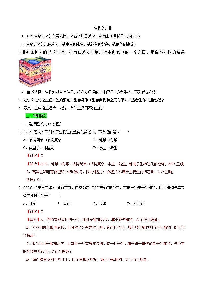 初中生物中考复习 专题17 生物的进化（解析版）第2页
