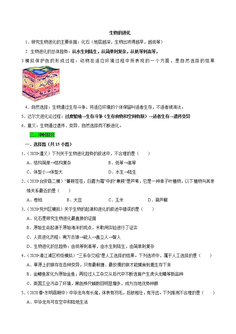初中生物中考复习 专题17 生物的进化（原卷版）第2页