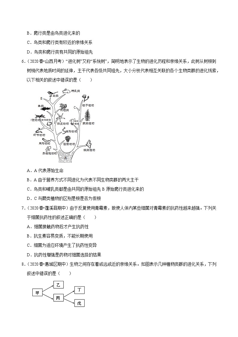 初中生物中考复习 专题17 生物的进化（原卷版）第3页