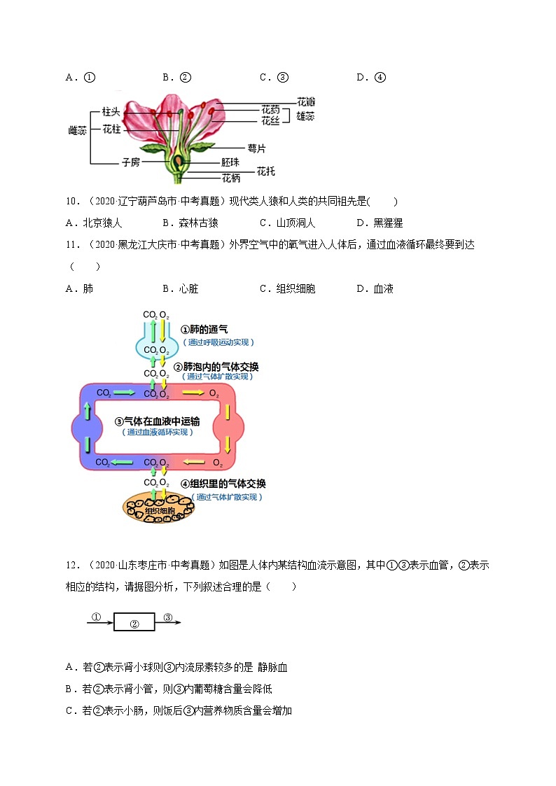 初中生物中考复习 重组卷02-冲刺2021年中考生物精选真题重组卷（通用版）（原卷版）第3页