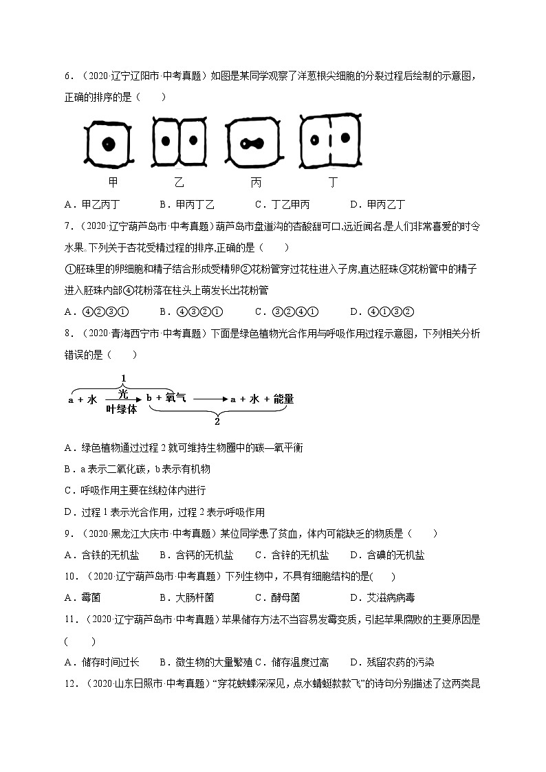 初中生物中考复习 重组卷03-冲刺2021年中考生物精选真题重组卷（通用版）（原卷版）第2页