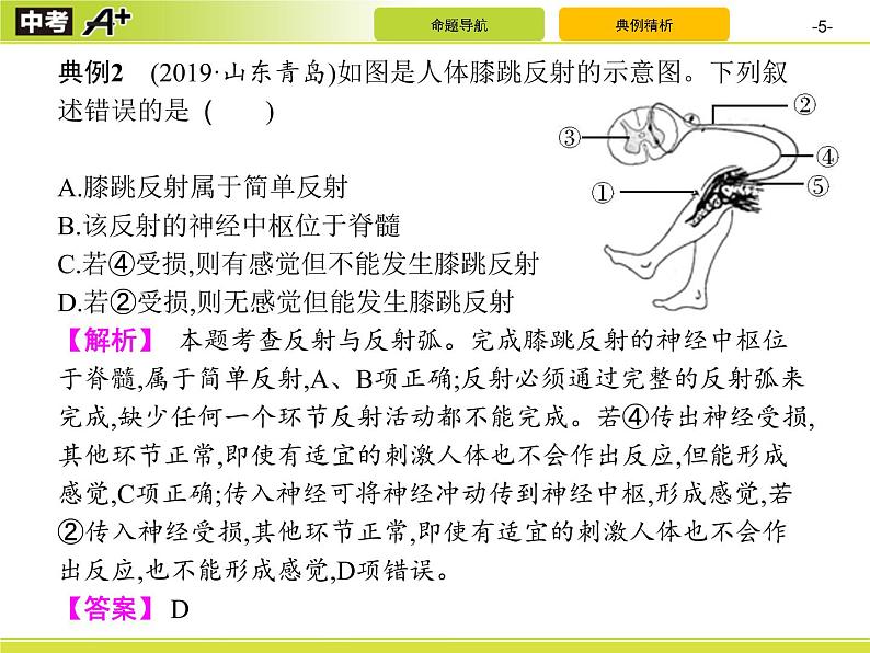 初中生物中考复习 专题5　生物圈中的人(二)课件PPT05