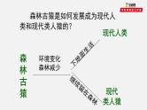 初中生物中考复习 专题09 人的由来（课件）-2021年中考生物一轮复习讲练测
