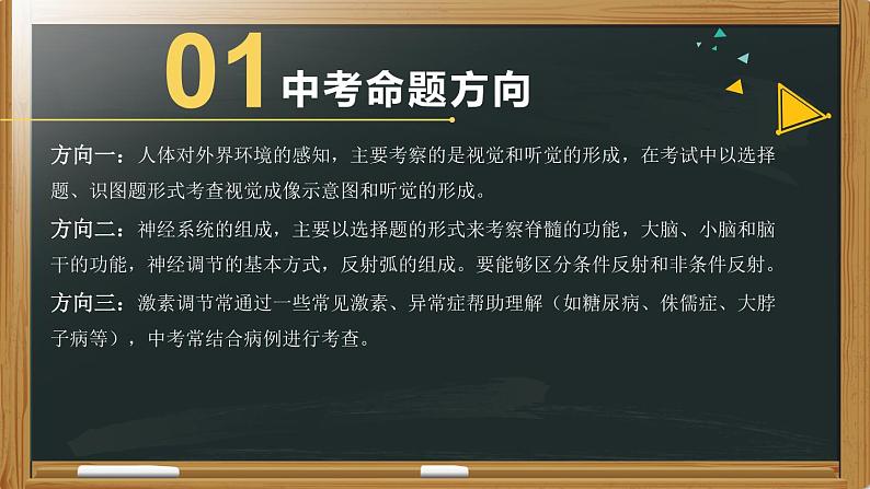 初中生物中考复习 专题09 人体生命活动的调节- 【备考无忧】2022年中考生物复习核心考点复习精优课件第3页