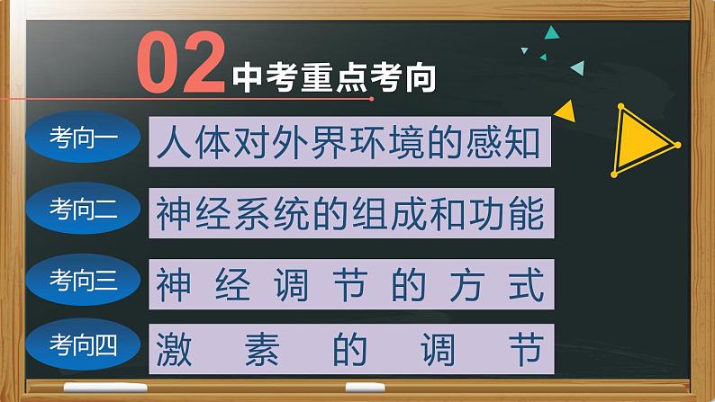 初中生物中考复习 专题09 人体生命活动的调节- 【备考无忧】2022年中考生物复习核心考点复习精优课件第4页