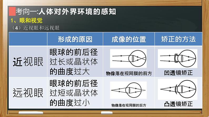 初中生物中考复习 专题09 人体生命活动的调节- 【备考无忧】2022年中考生物复习核心考点复习精优课件第8页