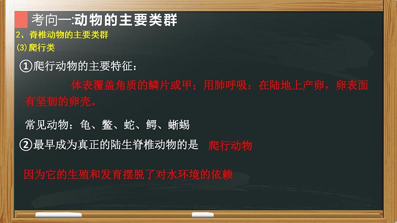 初中生物中考复习 专题10 生物圈中的其他生物- 【备考无忧】2022年中考生物复习核心考点复习精优课件第8页