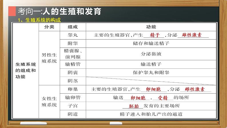 初中生物中考复习 专题11 生物的生殖和发育- 【备考无忧】2022年中考生物复习核心考点复习精优课件05