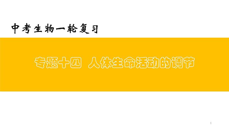 初中生物中考复习 专题14 人体生命活动的调节（上课用课件）-【过一轮】2022年中考生物一轮复习课件精讲与习题精练01