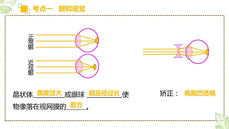 初中生物中考复习 专题14 人体生命活动的调节（上课用课件）-【过一轮】2022年中考生物一轮复习课件精讲与习题精练08