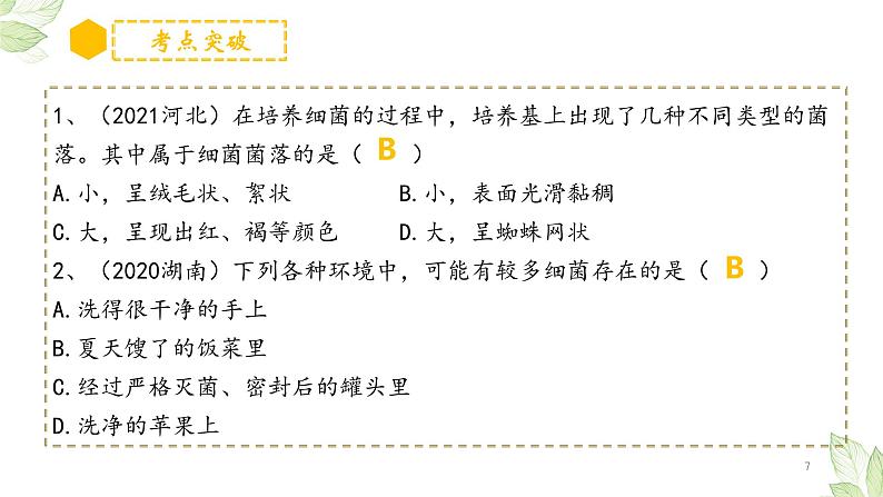 初中生物中考复习 专题17 细菌、真菌和病毒（上课用课件）-【过一轮】2022年中考生物一轮复习课件精讲与习题精练第7页