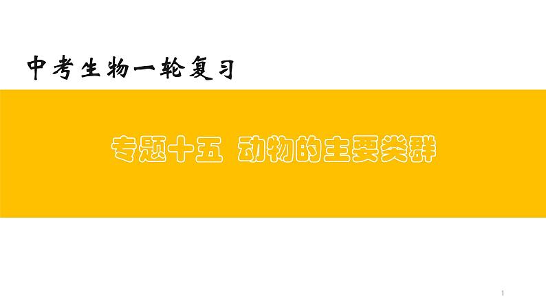 初中生物中考复习 专题15 动物的主要类群（上课用课件）-【过一轮】2022年中考生物一轮复习课件精讲与习题精练01