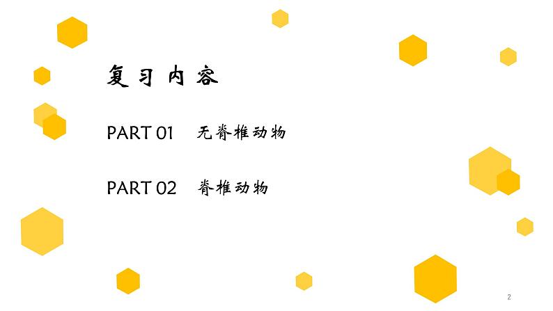 初中生物中考复习 专题15 动物的主要类群（上课用课件）-【过一轮】2022年中考生物一轮复习课件精讲与习题精练02