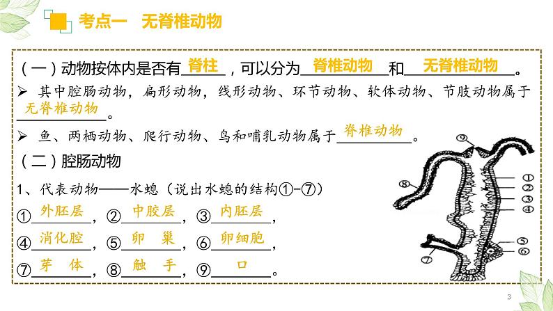 初中生物中考复习 专题15 动物的主要类群（上课用课件）-【过一轮】2022年中考生物一轮复习课件精讲与习题精练03