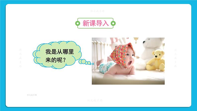 第一章 人的由来 第二节 人的生殖 课件+教案+素材02