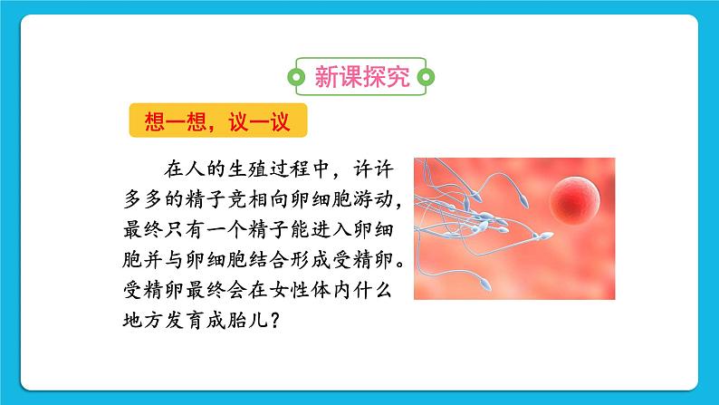 第一章 人的由来 第二节 人的生殖 课件+教案+素材03