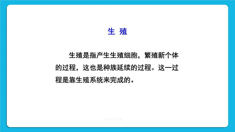 第一章 人的由来 第二节 人的生殖 课件+教案+素材04