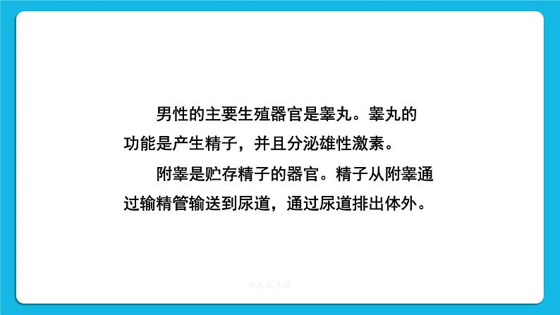第一章 人的由来 第二节 人的生殖 课件+教案+素材07