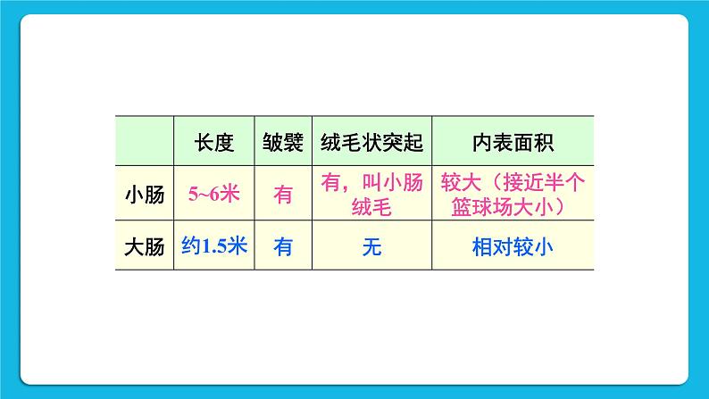 第二章 人体的营养  第二节 消化和吸收 第1-2课时 课件2+教案+素材05