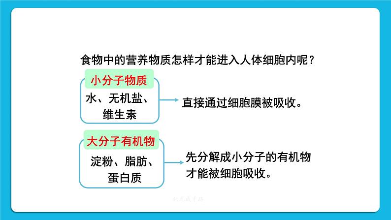 第二章 人体的营养  第二节 消化和吸收 第1-2课时 课件2+教案+素材04