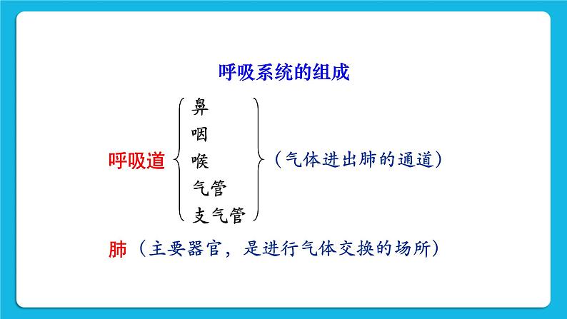 第三章 人体的呼吸 第一节 呼吸道对空气的处理 课件+教案05