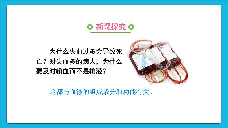第四章 人体内物质的运输 第一节 流动的组织——血液 课件+教案+素材03