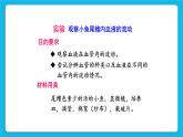 第四章 人体内物质的运输 第二节 血流的管道——血管 课件+教案+素材