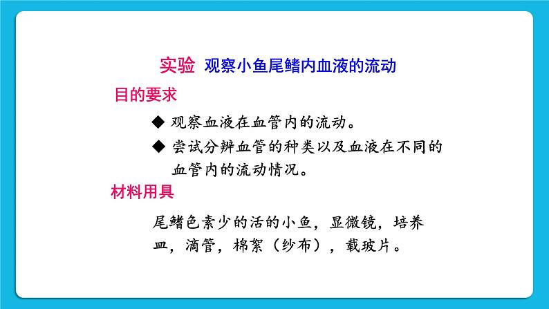 第四章 人体内物质的运输 第二节 血流的管道——血管 课件+教案+素材03