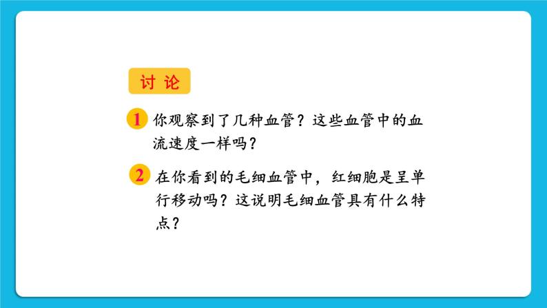 第四章 人体内物质的运输 第二节 血流的管道——血管 课件+教案+素材05