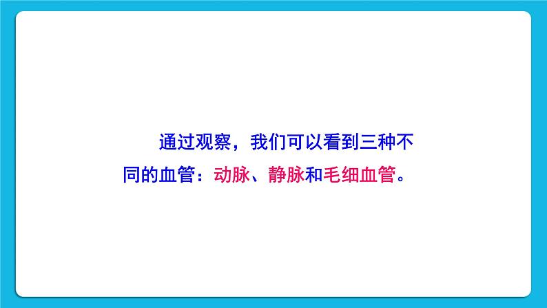 第四章 人体内物质的运输 第二节 血流的管道——血管 课件+教案+素材06