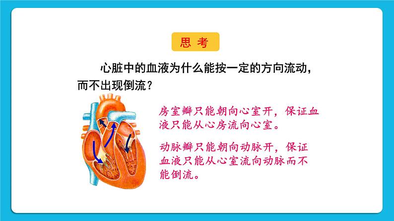 第1课时 心脏的结构和功能 课件第8页