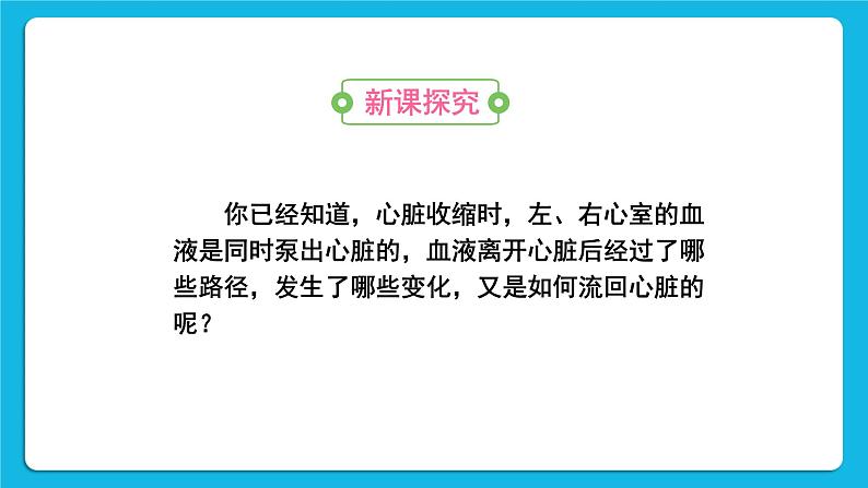 第四章 人体内物质的运输 第三节 输送血液的泵——心脏 课件+教案+素材03